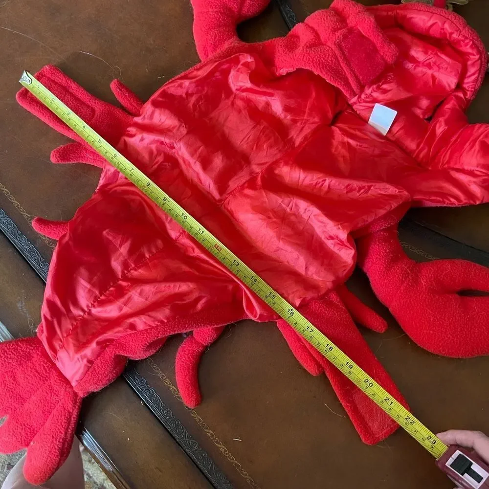 🦞 🎃 ADORABLE Red ROCK Lobster Halloween costume!
